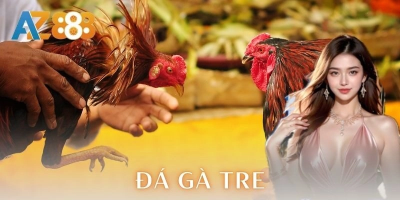  Chiến thuật đá gà tre hiệu quả