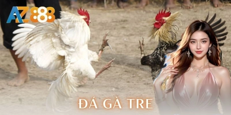 Đá gà tre – Chiến thuật và mẹo cược đỉnh cao cho anh em