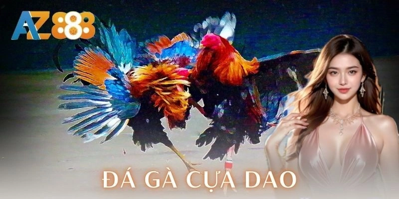  Kỹ thuật chọn gà chiến