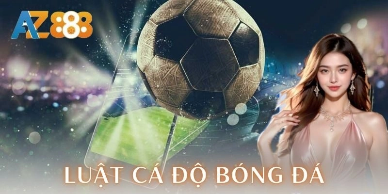  Quyền lợi và trách nhiệm của người chơi