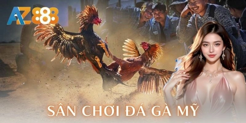 Sân chơi đá gà Mỹ – Trải nghiệm cược đỉnh cao kịch trần